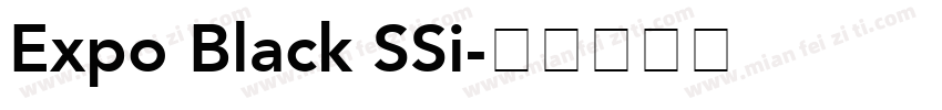 Expo Black SSi字体转换